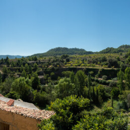 Foto de las vistas al botánico en El Apartamento de Casa Juano (Ràfels-Matarranya)